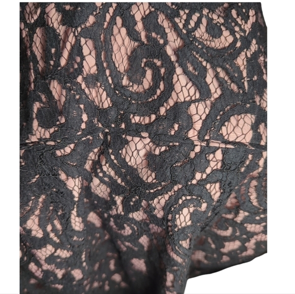 J. Crew Collection Blush And Black Sweetheart Lace Cocktail Dress Size 4 - Picture 4 of 7